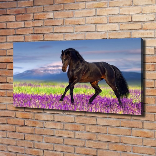 Tulup image sur toile - sur,