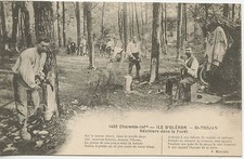 CARTE POSTALE / ILE D'OLERON /