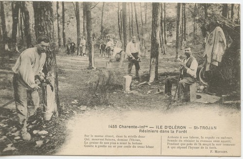 Carte postale ile oleron - /, /