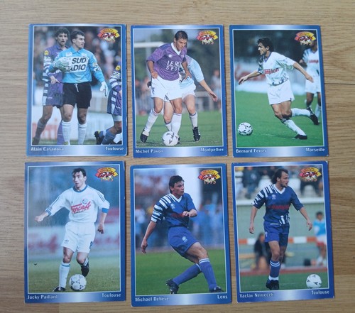 Lot cartes panini - lot,