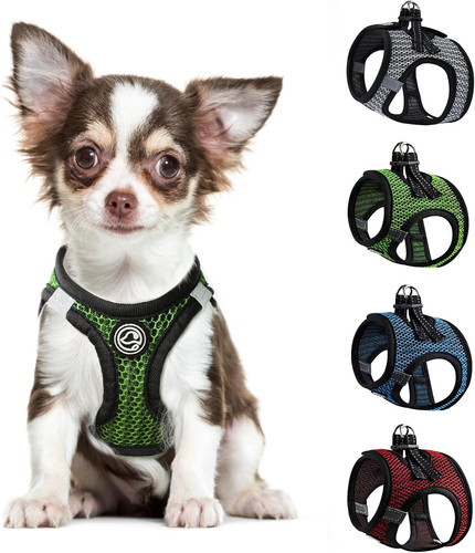 Step dog harness - step,