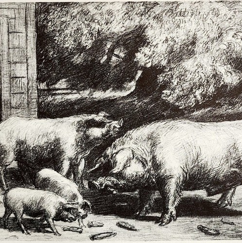 1939 harry wickey hogs - wickey,