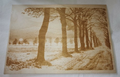 Pyrographie photo chemin - a4, de
