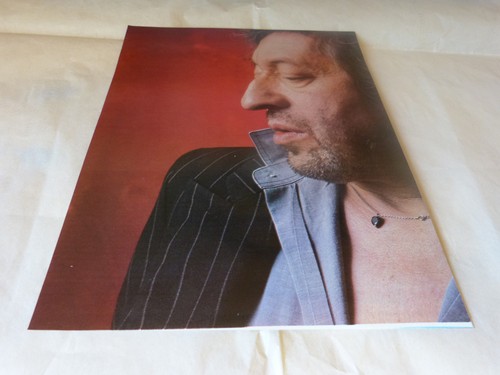 Serge gainsbourg mini - serge,