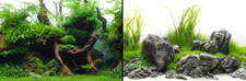 poster fond aquarium