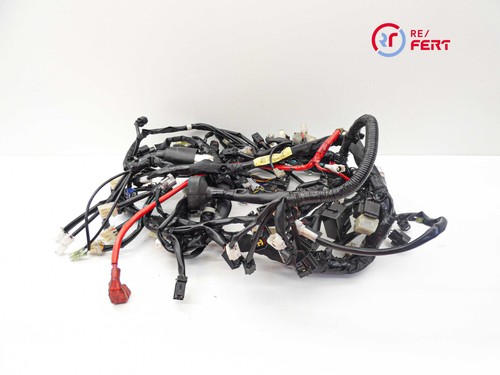 Faisceau électrique yamaha - électrique, (yamaha
