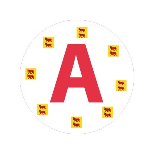 Jeune conducteur apprenti - conducteur,