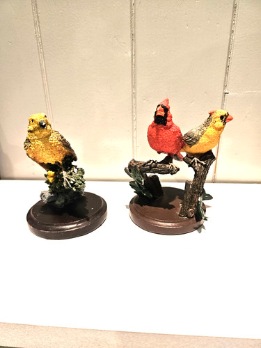 The country bird collection