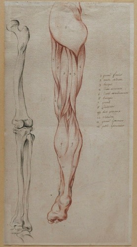 Dessin ancien corps - dessin, humain