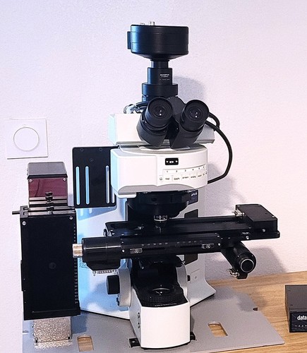 Microscope olympus bx61 - microscope,