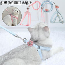 Harnais De Poitrine Réglable Pour Chat Laisse À Fleurs Tricotée Fournitures /