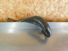 Pot échappement HUSQVARNA 125 WR 1998