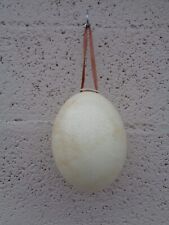 oeuf d'autruche vidé pour