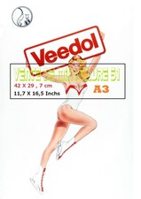 Pin up Veedol  Vierge  - peu courant les Zodiacs - poster A3 plastifiée