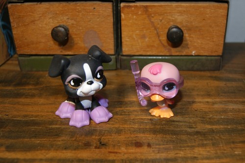 Petshop duo chien dogue - duo,