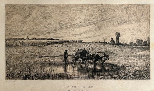 Adolphe appian gravure eau - appian,