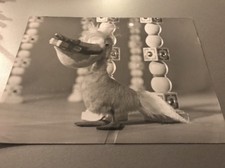 LA MAISON DE TOUTOU - Photo de presse originale 21x27cm