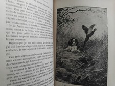 LEROY CIRCA 1900 VOLIERE AVICULTURE FAISAN PERDRIX CANARD COLOMBE POULE PERRUCHE