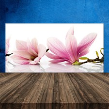 Crédence de cuisine en verre