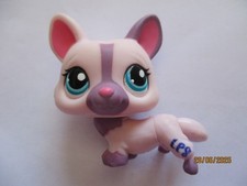 PETSHOP CHIEN CORGI N°1645