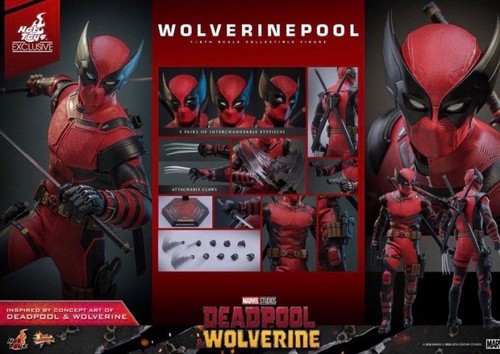 Hot toys wolverinepool - hot,