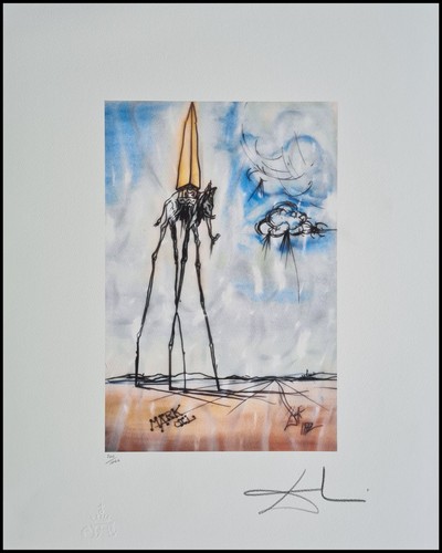 Salvador dali espace - salvador,