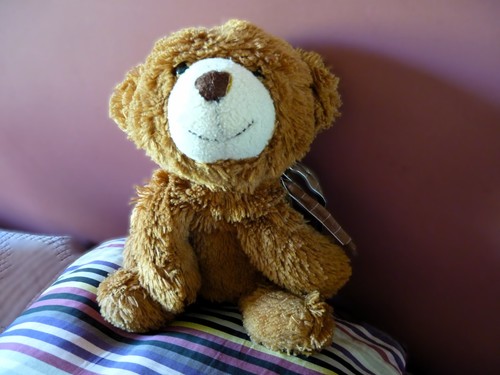 Ours peluche doudou - ours,