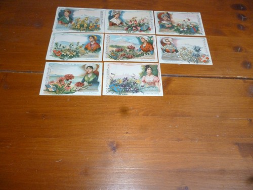 Images bledine blecao lot - images,