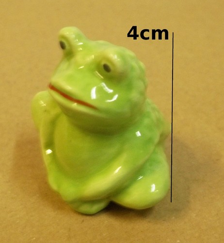 Superbe grenouille miniature - superbe,