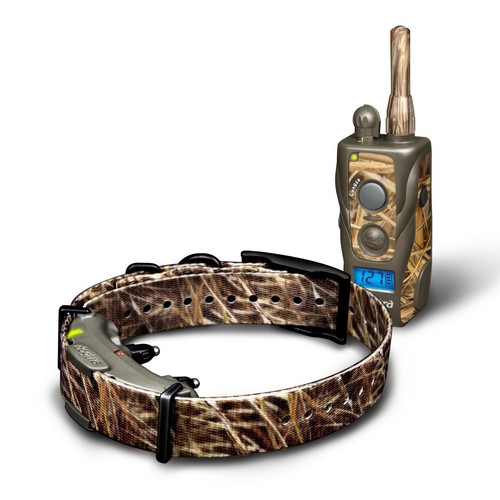 Collier dressage dogtra - de,