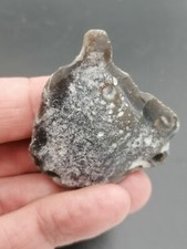 Neanderthal Mid Paleolithic Mousterian Knife scraper and drill France Seaside