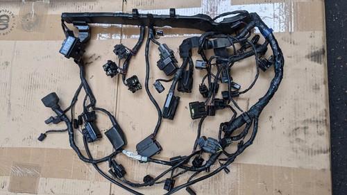 Faisceau harness beam - faisceau, triumph