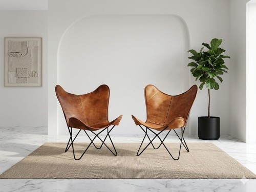 Paire fauteuils papillon - paire,