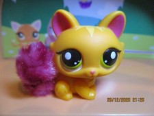 Petshop chat sphynx fourrure #2576 