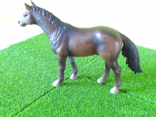 Cheval pur sang - pur-sang, anglais