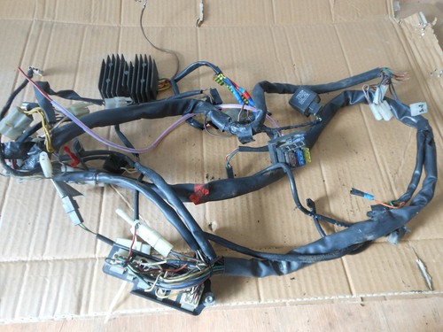 Faisceau bmw 650 2001 - faisceau,
