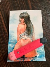 CARTE POSTALE 15X10 SERPIERI