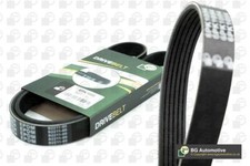 Drive belt ribbed alternator - belt,