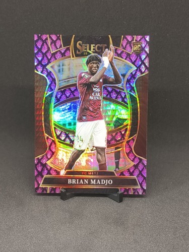 Brian madjo metz panini - brian,