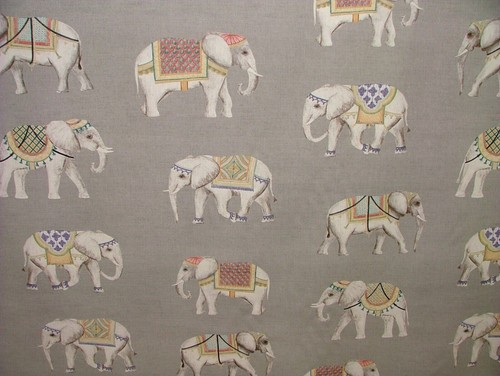 Jaipur indien éléphant gris - jaipur,