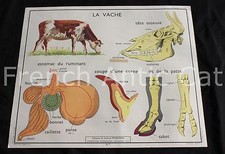 Ancienne affiche école