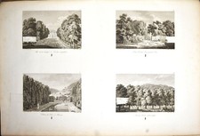 LABORDE, Alexandre Description