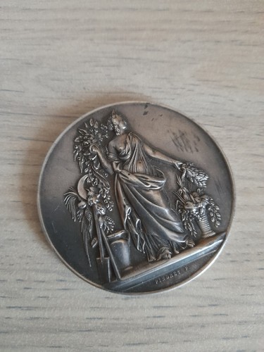 Médaille argent aube - -,