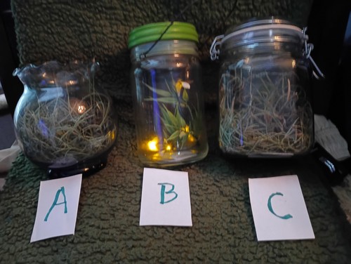 Decorative glass desktop - decorative,