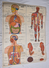 Ancienne carte scolaire MDI