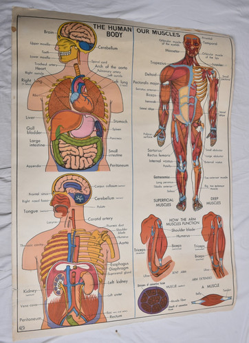 Ancienne carte scolaire mdi - ancienne,