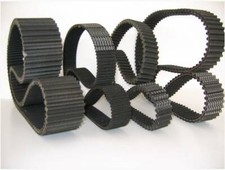 Ceinture Double Dentée