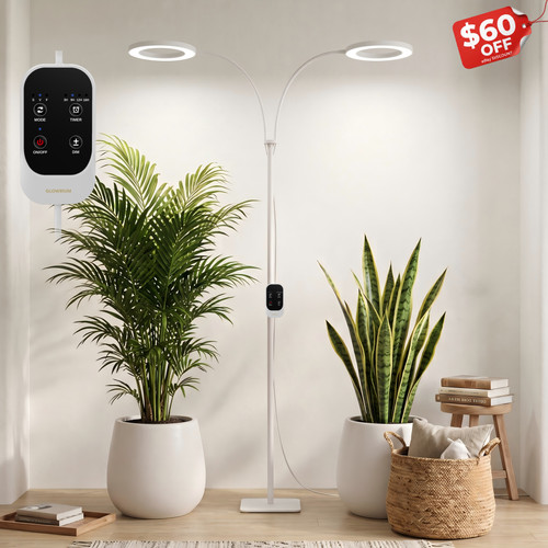 For indoor large plants - indoor,