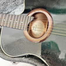 YAMAHA APX-6A electric