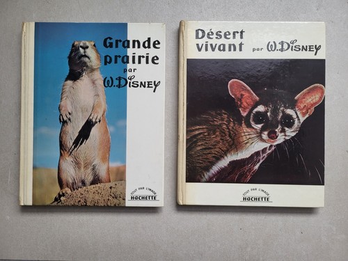 Walt disney grande - walt,